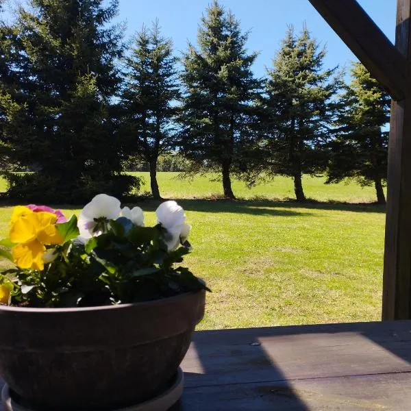 4Rest&Fun Krušné hory, Hotel in Klíny