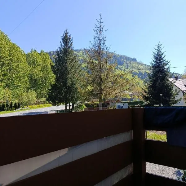 Beskidzka Guest House, hotel a Szczyrk