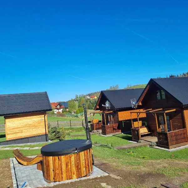 Domki na Zagroniu, hotel di Koninki
