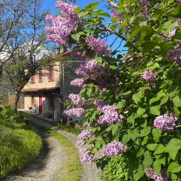 La Lupa e l'Orso, hotel v destinaci Berceto