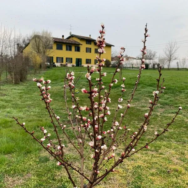 Sangiligio Countryside Villa, Private Rooms w Kitchen, Bath, Private Entrance, Crema, hotel in Crema