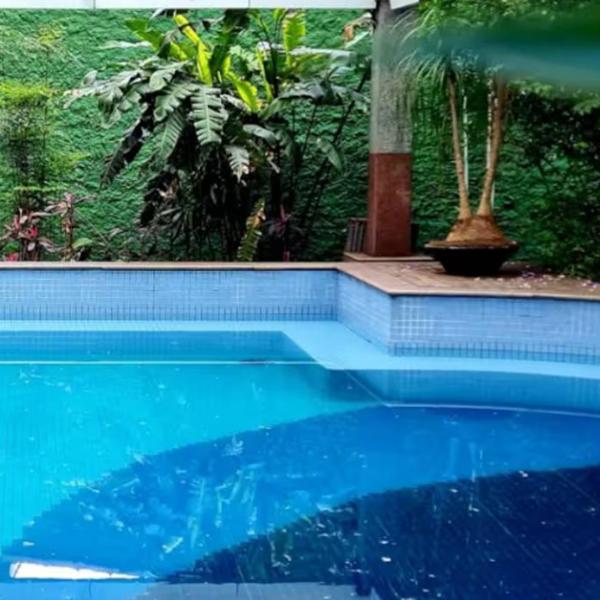 Flat Blue Tree Premium Verbo Divino - Foto 4