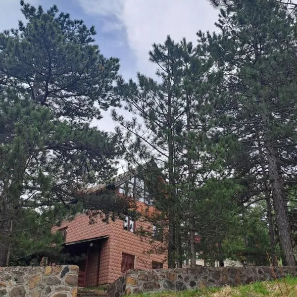 Vikendica Vidik, hotel v destinaci Divčibare