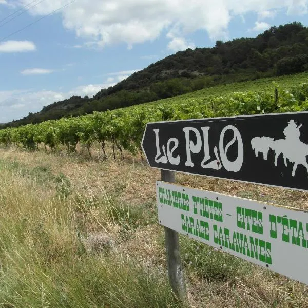 Bergerie Du Plo, hotel en Montlaur