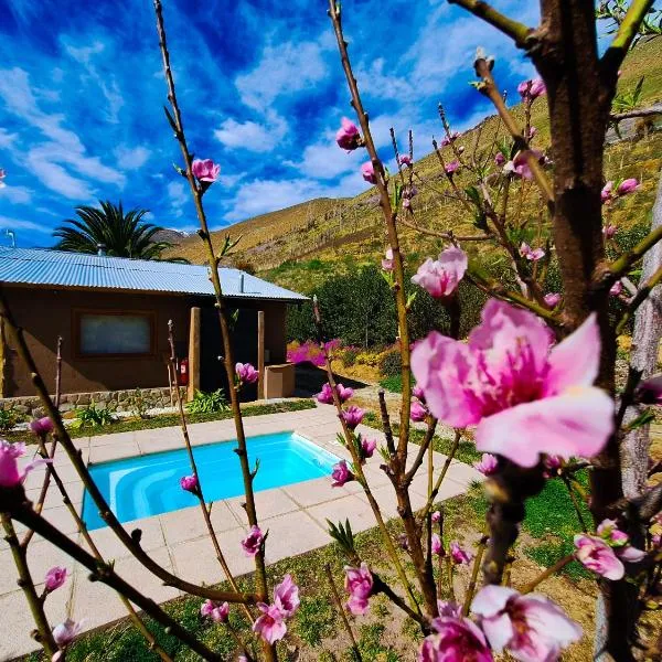 Piuquenes Lodge - Cabañas, Viñedos y estrellas en Horcón, Valle de Elqui, ξενοδοχείο σε Horcon