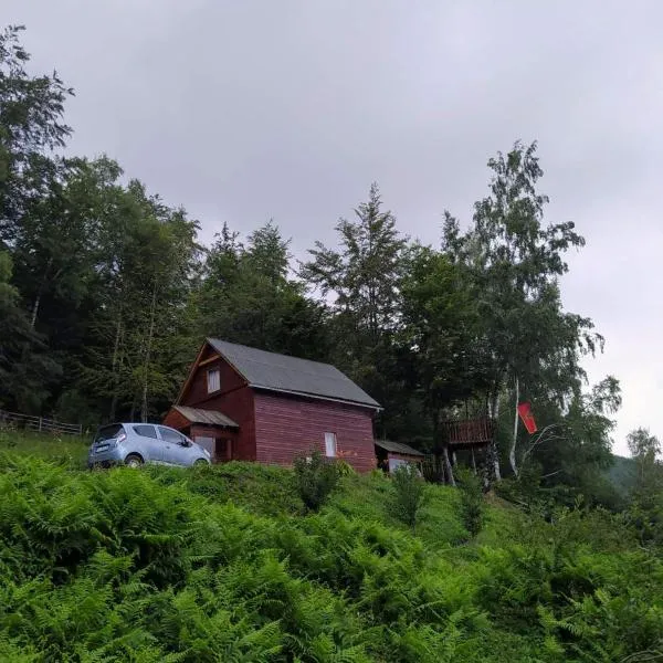 Kolibe Ćorić, hotel v destinaci Mojkovac