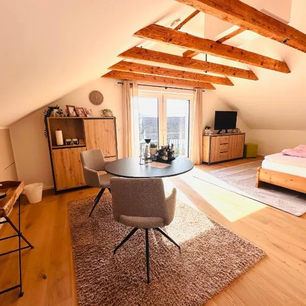 Alb Appartement - gemütliche Wohnung mit Balkon, hotel in Balingen
