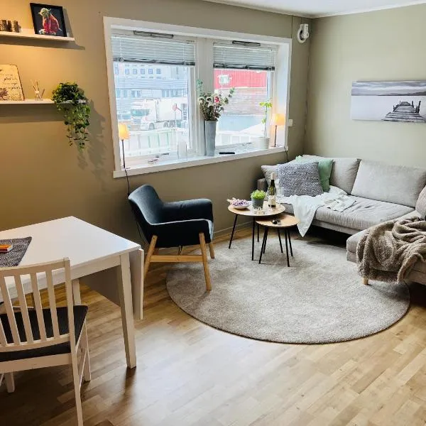 Cozy central apartment, ξενοδοχείο στο Τρόμσο