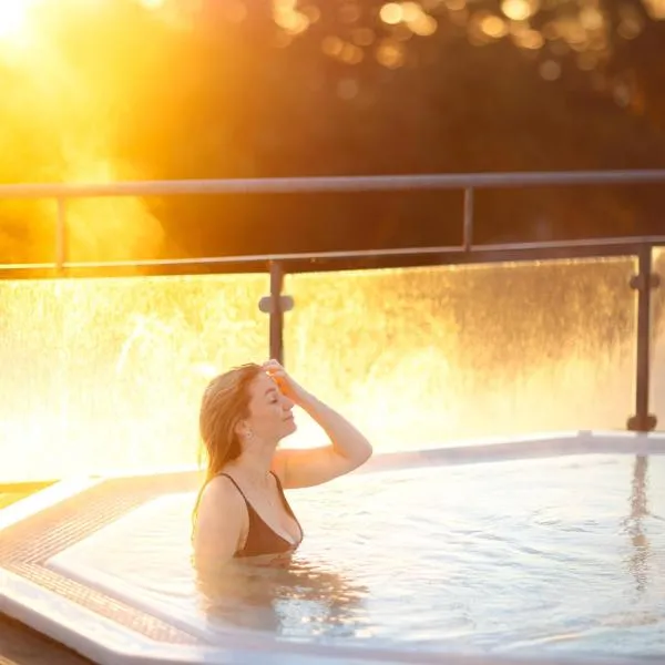 Hotel Viking Aqua Spa & Wellness, хотел в Саебу