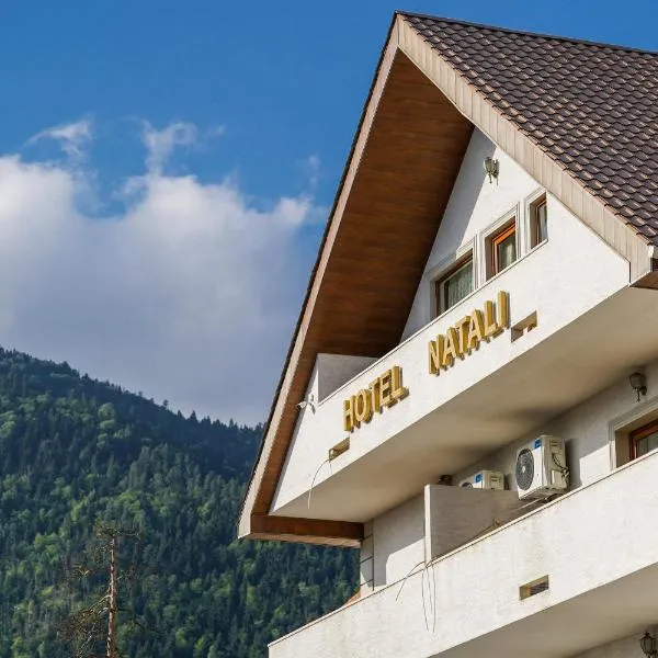Natali Hotel, отель в Боржоми
