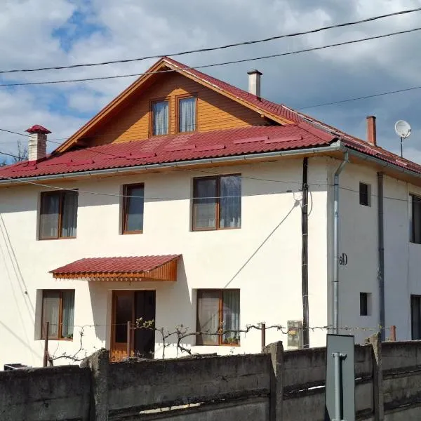 Casa Szabo, khách sạn ở Vaţa de Jos