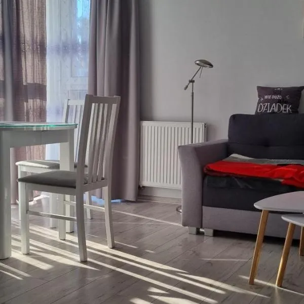 Apartament Słoneczny 3, hotel in Dziwnówek