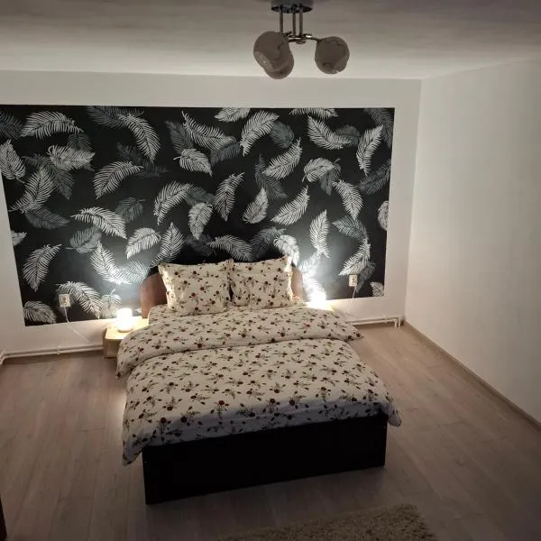 Casa Szabo, hotel v destinaci Vaţa de Jos