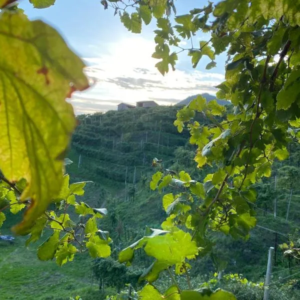 Profumo di Collina, hotel v destinaci Col San Martino