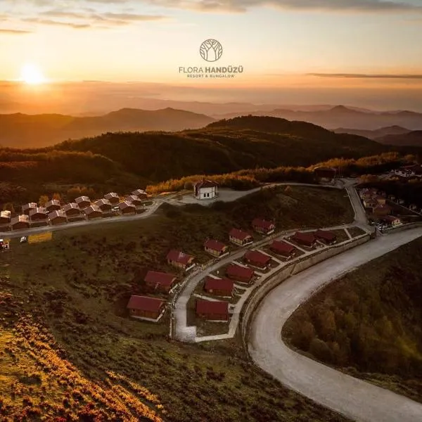 Flora Handüzü Resort & Wellness Bungalow Hotel, hotel Rizében