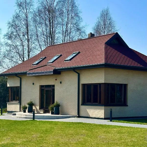 ANDO Villa with wood stove sauna, hotel in Selgas