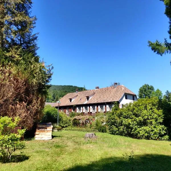 Hôtel La Rubanerie, hotel v destinaci Schirmeck
