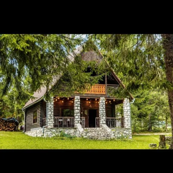 Lake House, hotel in Izvoru Mureşului
