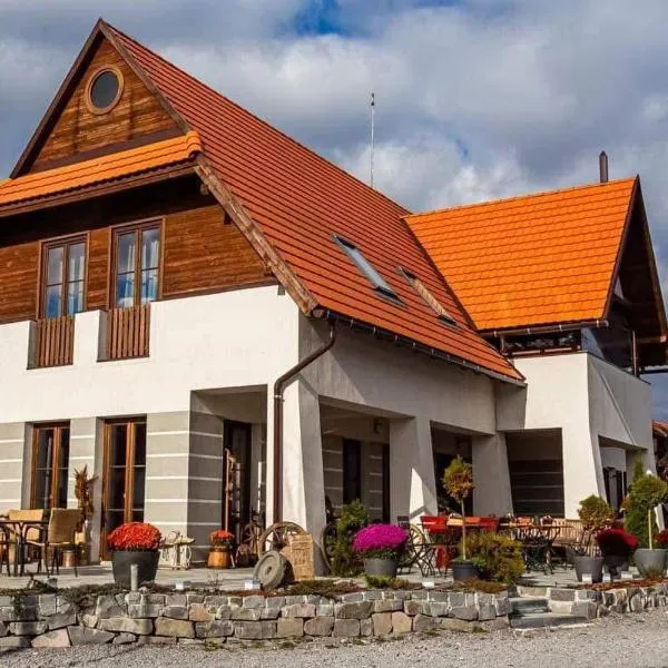 Csató Panzió - Pensiunea Csató, hotel v destinaci Joseni