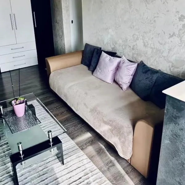 Rent Apartments Barlad、Bîrladのホテル