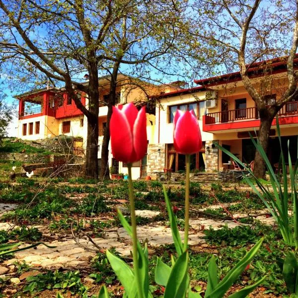 Evridiki, hotel in Vergina