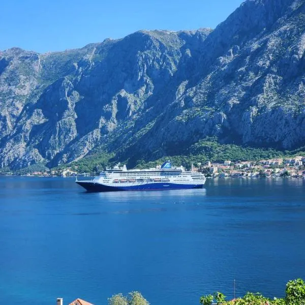 Deluxe Double Room with Garage FiS, hotel en Kotor