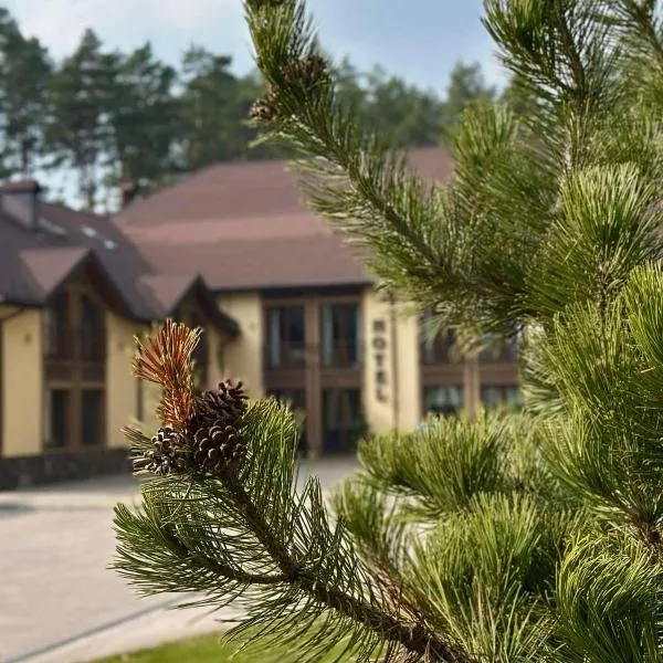 Kryve Ozero โรงแรมในNovoyavorivsk