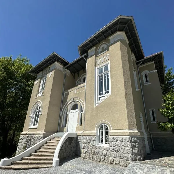 Vila Doctor Popovici, hotel in Prăjila