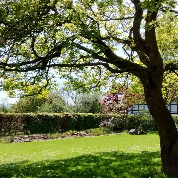 Gemütliche FeWo im Fachwerkhaus, hotel in Dörentrup