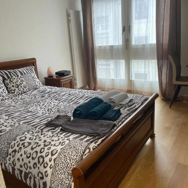Apparemment Studio, hotel in Geneva