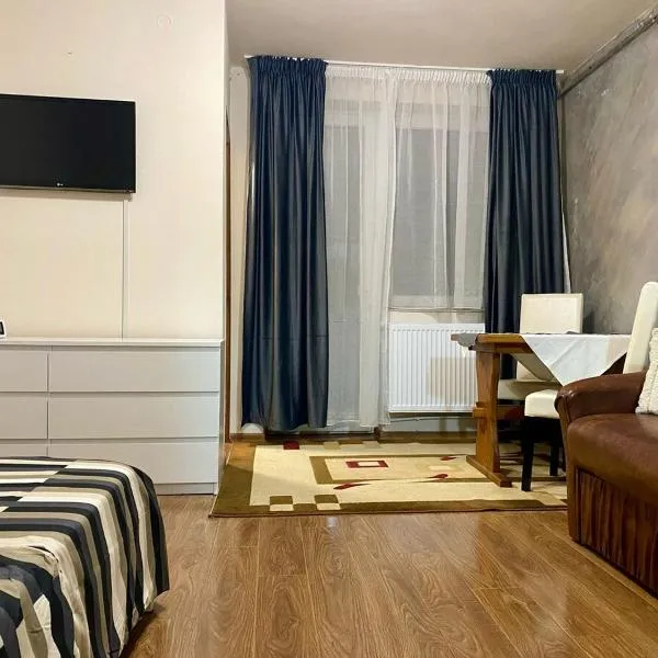 SKA Studio One, Hotel in Baia Mare