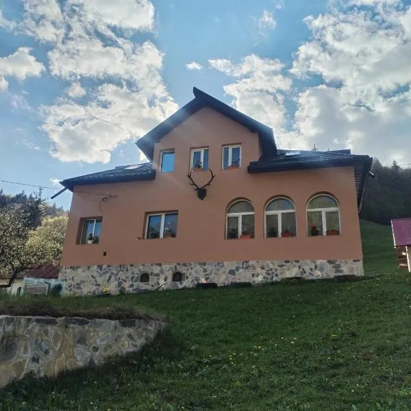 Casa Sara, hotel v destinaci Dîmbovicioara