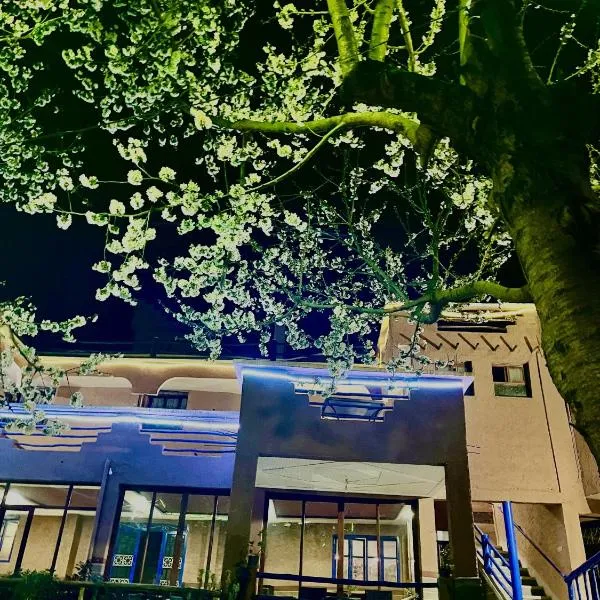 Auberge De La Vallée, hotel v destinaci Imlil