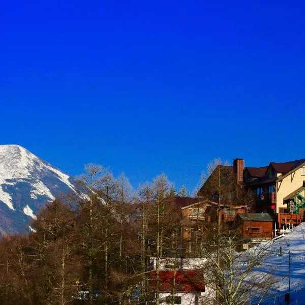 Hotel Andermatt, hotell i Nagawa