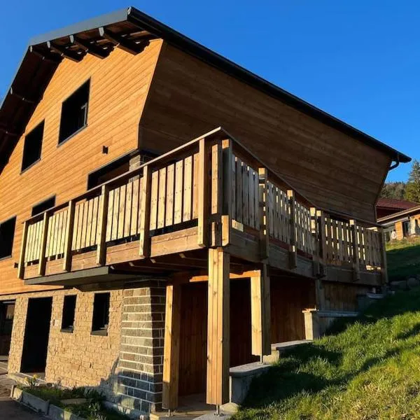 Superbe Chalet refait à neuf, idéal famille, Sportifs 2 nuits minimum, hotel in Xonrupt-Longemer