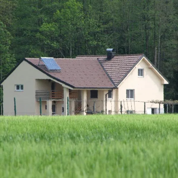 Atera, hotel in Banovci