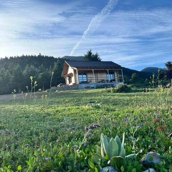 The Farmhouse, hotel v destinaci Vitina