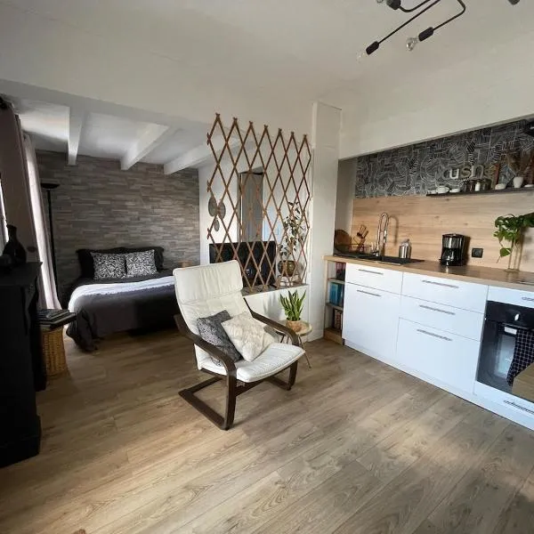 Logement Idéal pour un couple, hotel in Puisserguier