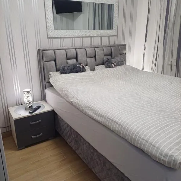 Apartman Dolly Vrnjacka banja, hotel in Vrnjačka Banja