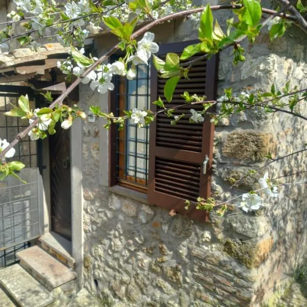 Autenticum Agriturismo Tolfa, hotel in Tolfa