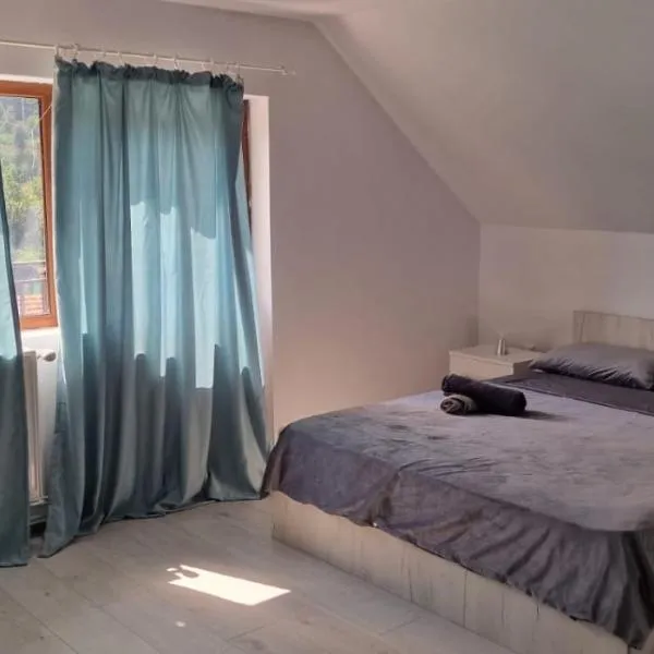 Casa Dani, hotel in Sibişel