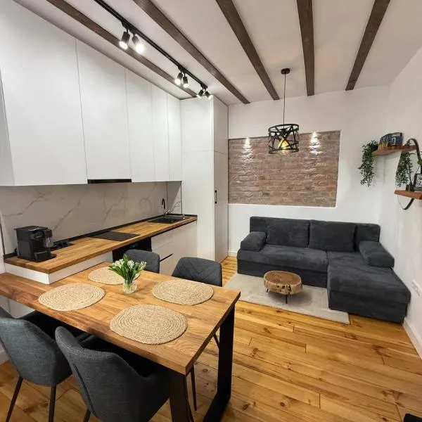 MMA's Apartment - 1 minut de Piața Mare, hotel v Sibiu