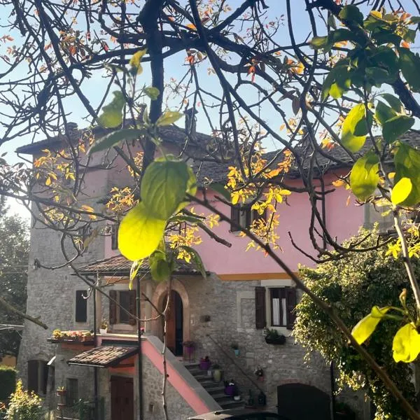 B&B Camelia, hotel in Camugnano
