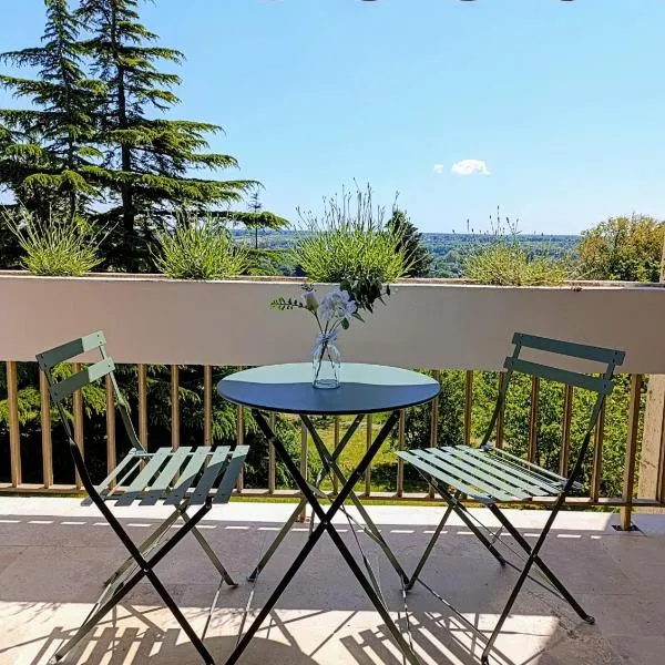 STUDIO au cœur des châteaux et du Zoo de Beauval, hotel v destinácii Montrichard