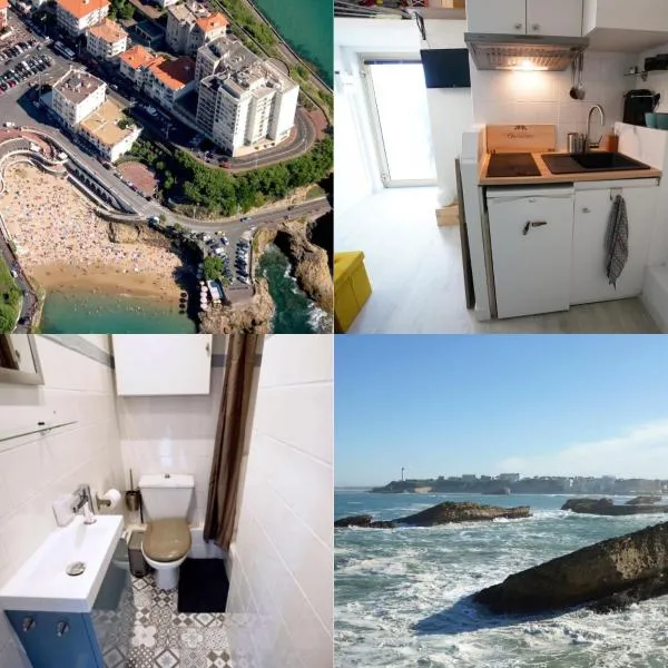 Studio Biarritz 2 personnes face à l'océan proche plages Port, hotel in Biarritz