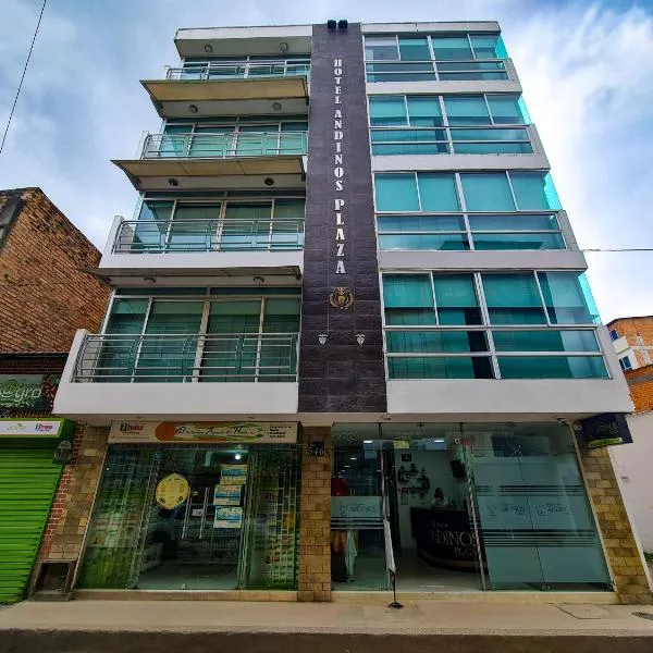 Hotel Andinos Plaza Pitalito, hotel v destinaci Pitalito