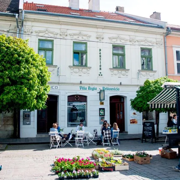 Villa Regia, hotell sihtkohas Košice
