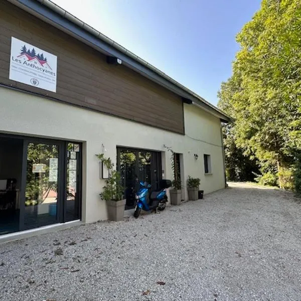 LES ANTHOCYANES, hotel in Champagny