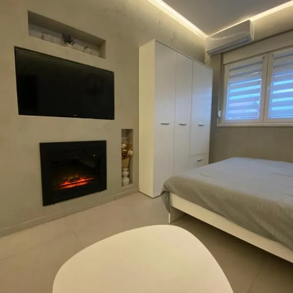 Studio Victoria, hotel v destinaci Novi Sad