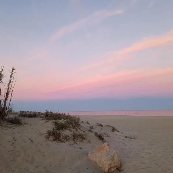 T2 climatisé à Canet Plage、カネ・アン・ルシヨンのホテル